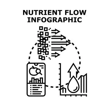 Nutrient flow infographic presenting health and data analysis 스톡 일러스트