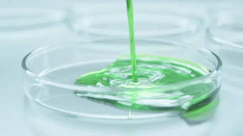  Nutrient-rich environment. Stock Footage 242804558