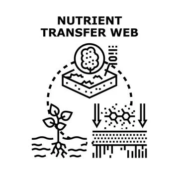 Nutrient transfer web concept vector illustration Illustrazione stock
