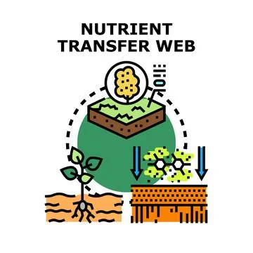 Nutrient transfer web concept vector illustration 库存插图
