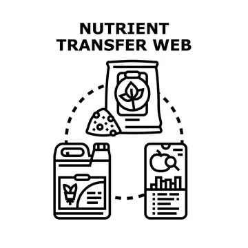 Nutrient transfer web for smart agriculture development Stock Illustration