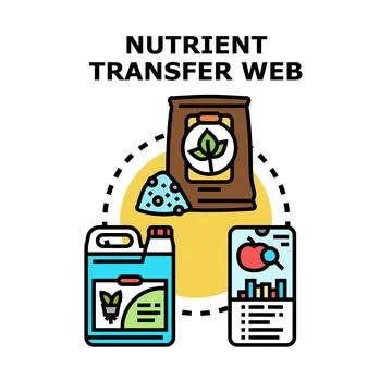 Nutrient transfer web for smart agriculture development 스톡 일러스트