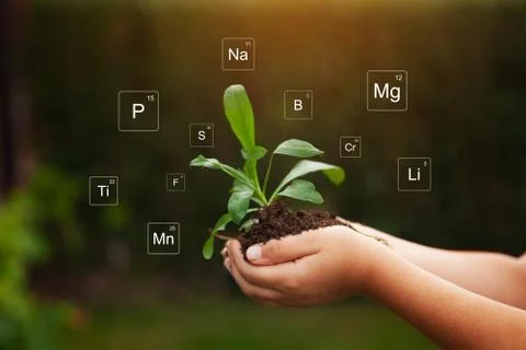 Nutrients mineral in soil and plant. Digital icon of Mendeleev's periodic tab Stock Photos