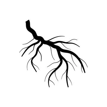 Nutrients tree root cartoon vector illustration Stock Illustration