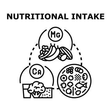 Nutritional intake concept demonstrating balanced diet elements Stock Illustration