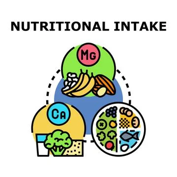 Nutritional intake concept demonstrating balanced diet elements 库存插图