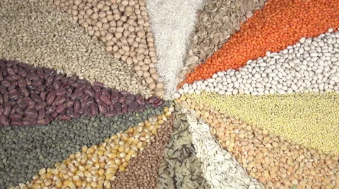 Nutritional Value Stock Footage 47708505