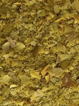 Nutritional Yeast Flakes Macro Texture Background Plant Based Vegan Food Foto stock