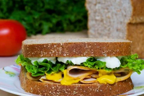 Nutritious chicken sandwich Stock Photos