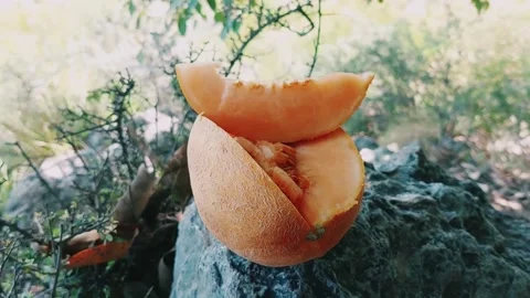 Nutritious Fruit Snack for an Instant Energy Boost During Mountain Hiking Stock Footage 333611756