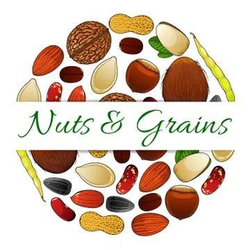 Nutritious nuts and grains elements vector label Stock Illustration
