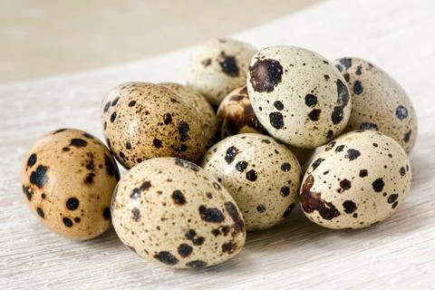 Nutritious quail eggs, natural source of vitamins Stock Photos