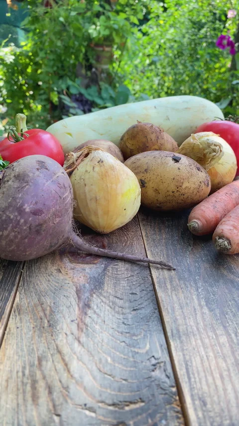 Nutritious root vegetables and ripe tomatoes straight from the garden resting. Stock Footage 341107768