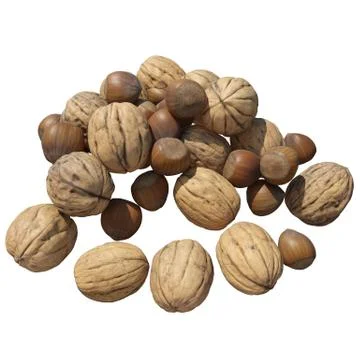 Nuts 3d illustration isolated on the white background Stock Illustration