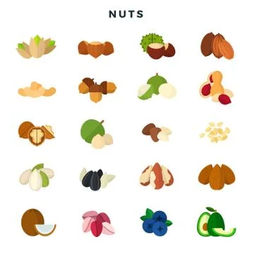 Nuts of all kinds. Set of various nuts, grains and seeds. Vector illustration Stock Illustration