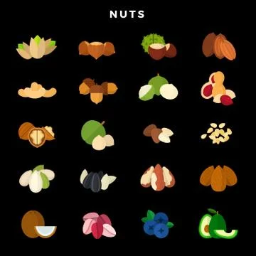 Nuts of all kinds. Set of various nuts, grains and seeds. Vector illustration on Stock Illustration