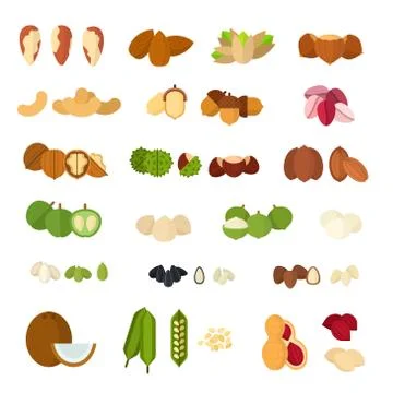 Nuts of all kinds. Various nuts, grains and seeds Stock Illustration