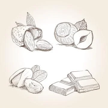 Nuts and Chocolate Illustrations Stock Illustration