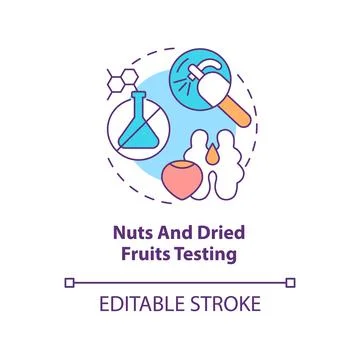 Nuts and dried fruits testing concept icon Stock Illustration
