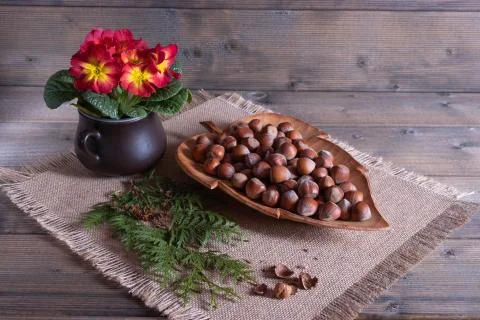 Nuts and flowers on the table. Stock Photos