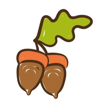 Nuts and leaf hand draw style icon Illustrazione stock