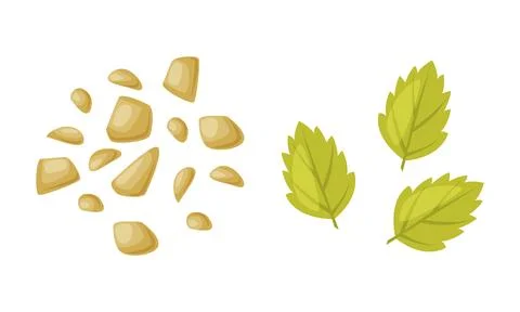 Nuts and Mint Leaf as Ice Cream Dessert Element for Topping Sprinkle Vector Set Illustrazione stock
