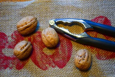 Nuts and a nutcracker are on a linen napkin. Stock Photos