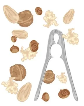 Nuts and nutcrackers Stock Illustration