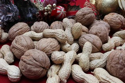 Nuts and peanuts on a table decorated for Christmas. Stock Photos