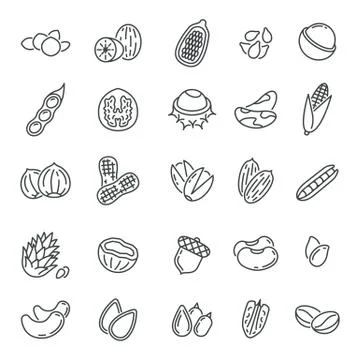 Nuts and seeds. Peanuts icons, quality agriculture product. Hazelnut, cocoa Stock Illustration