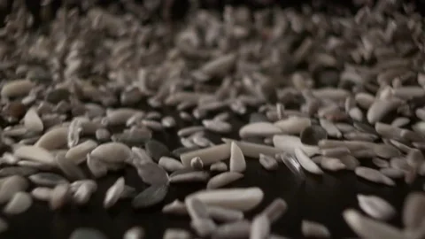   Nuts and seeds wave coming towards the camera Stock-Footage 81803687
