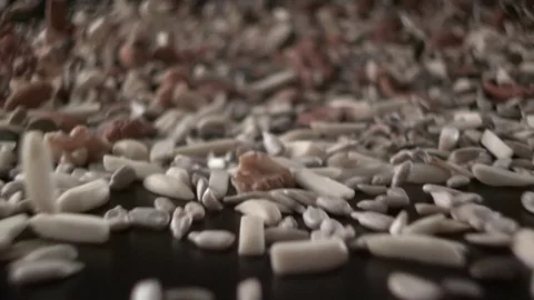  Nuts and seeds wave coming towards the camera Stock-Footage 81805588
