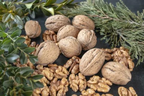 Nuts and walnut kernels on a black, dark background with green sprigs. Stock Photos