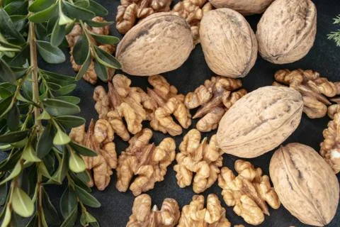 Nuts and walnut kernels on a black, dark background with green sprigs. Stock Photos