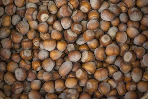 Nuts are on the counter in the store. Stock Photos