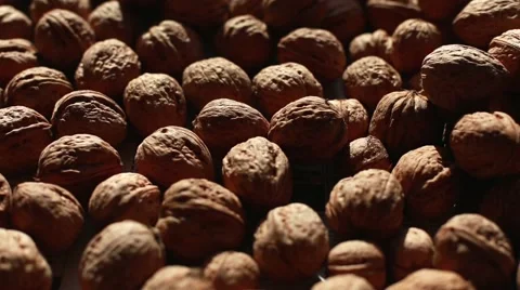 Nuts are dried on the windowsill Stock Footage 56204960