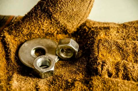 Nuts are on the hands of a worker. Foto stock