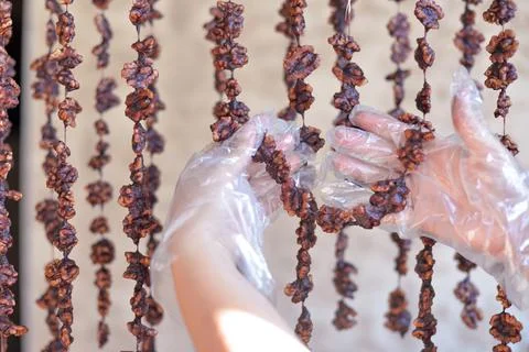 The nuts are strung on the thread to prepare the Caucasian sweetness churchkh Stock Photos