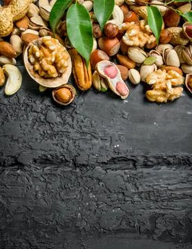 Nuts background. Different kinds of nuts with leaves. Stock Photos