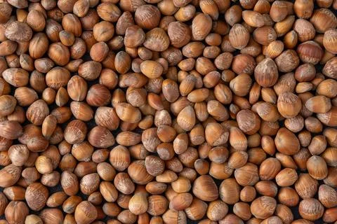 Nuts background. Hazelnut food Stock Photos