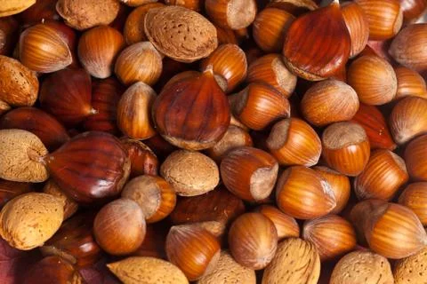 Nuts background Stock Photos