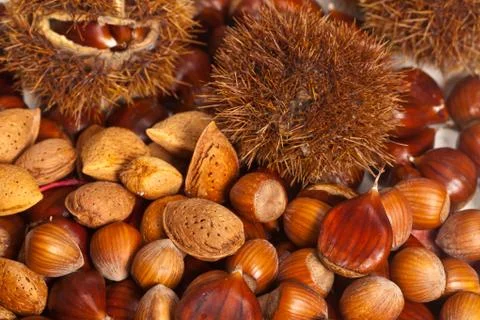 Nuts background Stock Photos