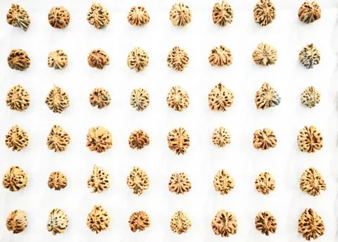Nuts Background Stock Photos