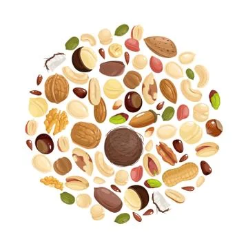 Nuts background. Various nuts in circle form. Peanut, hazelnut and pistachio イラスト素材