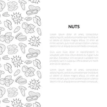 Nuts Banner Template with Place for Your Text, Tasty and Healthy Organic Food Stockillustratie