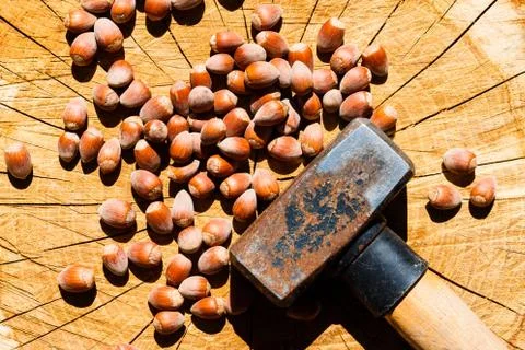 Nuts to be cracked with hammer Stock Photos