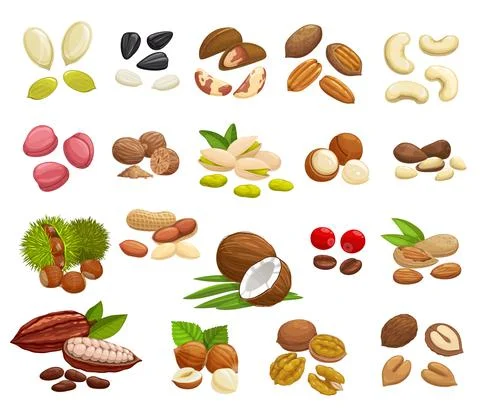 Nuts, beans and seeds of super food Stock Illustration