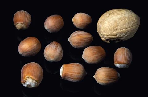 Nuts on a black background Stock Photos