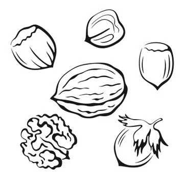 Nuts Black Pictograms Illustrazione stock