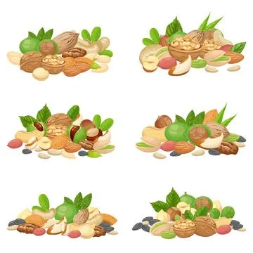 Nuts bunch. Fruit kernels, dried almond nut and cooking seeds isolated vect.. Stock Illustration